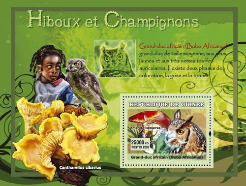 Guinea - Owls & Mushrooms on Stamps - Mint Stamp Souvenir Sheet 7B-228