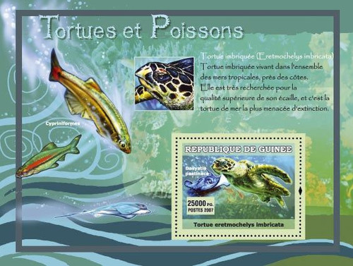 Guinea - Turtles & Fish - Mint Souvenir Sheet - 7B-231