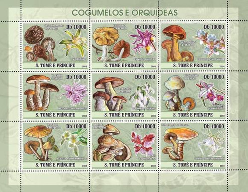 Sao Tome - Mushrooms & Orchids 9 Mint Stamps - ST8107a