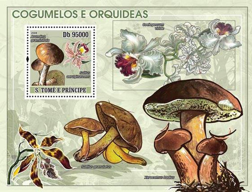St Thomas - Mushrooms & Orchids - Mint Souvenir Sheet - ST8107b