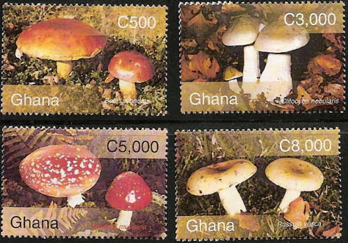 Ghana - Mushrooms 4 Stamp Mint Set