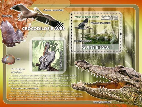 Guinea-Bissau - Crocodiles & Birds Stamp S/S - GB8203b
