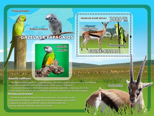 Guinea-Bissau - Gazelles & Parrots Stamp S/S - GB8212b