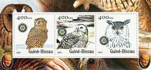 Guinea-Bissau - Owls - Mint Set of 3 Sheets MNH GB1324