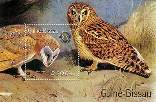 Guinea-Bissau - Owls - Mint Stamp S/S MNH - GB1330