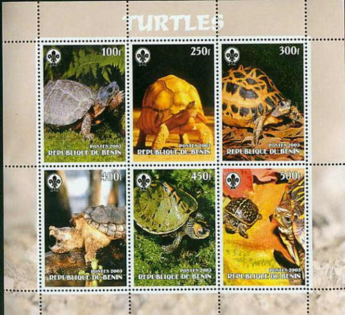 Turtles - Mint Sheet of 6 MNH - 7314