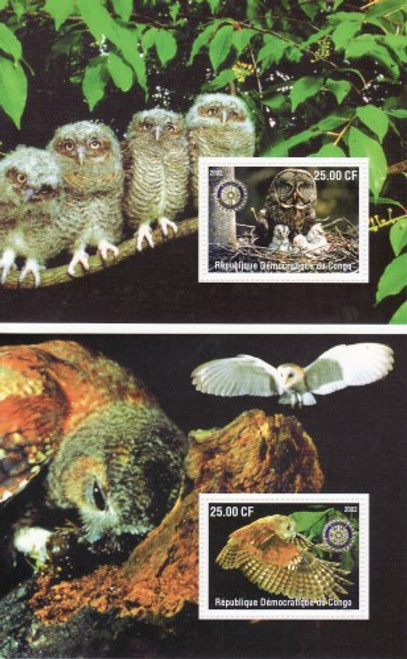 Owls - Mint Set of 2 Souvenir Sheets MNH - 3A-278