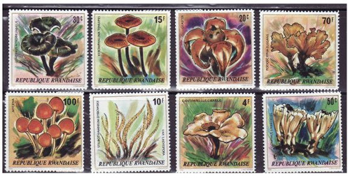 Rwanda - Mushrooms - Mint Set of 8 Stamps MNH - 975-82