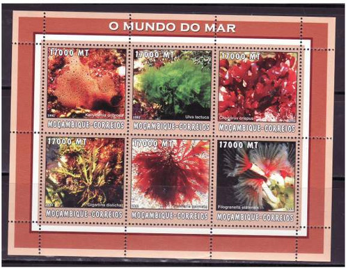 Mozambique - Tubeworms & Seaweed - 6 Stamp Sheet - 1669