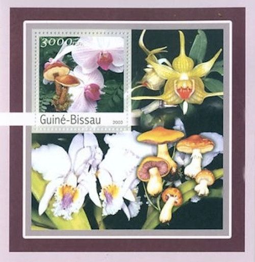 Guinea-Bissau - Orchids & Mushrooms Stamp S/S - GB3132