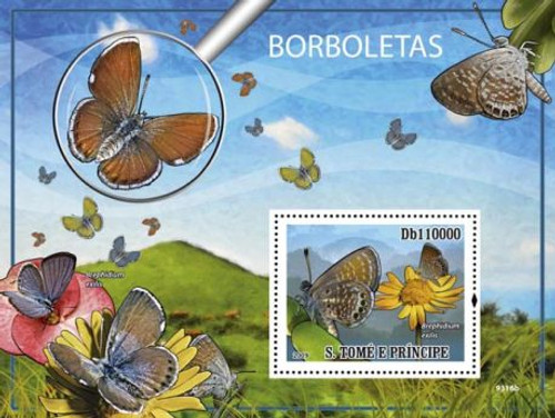 St Thomas - Butterflies - Mint Stamp Souvenir Sheet MNH - ST9316b