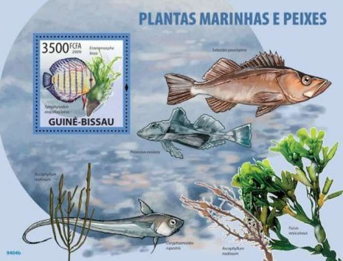 Guinea-Bissau - Marine Plants & Fish on Stamps - Stamp S/S GB9404b