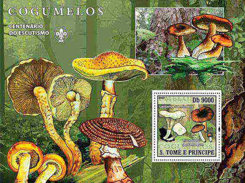St Thomas - Mushrooms Deluxe Souvenir Sheet ST72D08