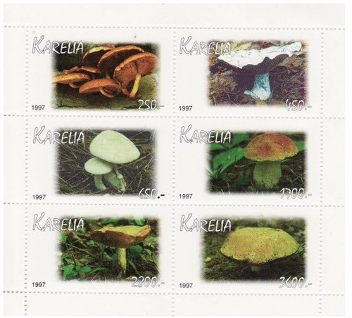 Mushrooms on Stamps - 6 Stamp Mint Sheet MNH - 11F-028
