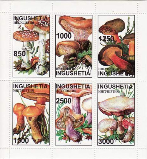 Mushrooms on Stamps - 6 Stamp Mint Sheet MNH - 9B-016