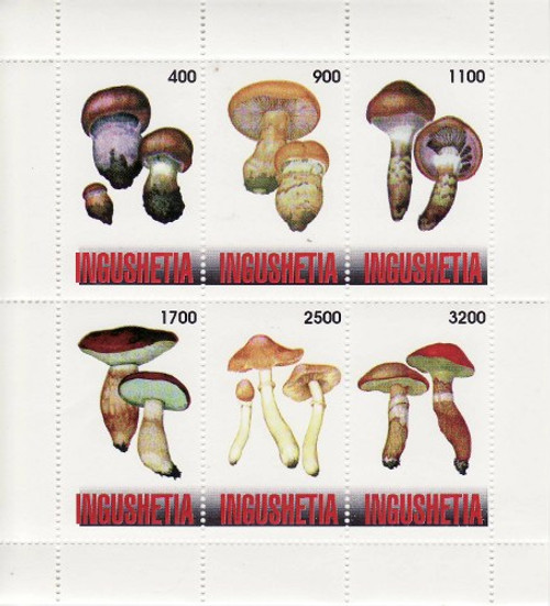 Mushrooms on Stamps - 6 Stamp Mint Sheet MNH - 9B-017