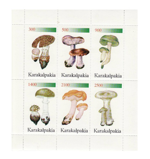 Mushrooms on Stamps - 6 Stamp Mint Sheet MNH - 11B-018