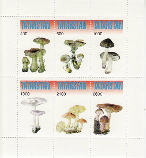 Mushrooms on Stamps - 6 Stamp Mint Sheet MNH - 20C-033
