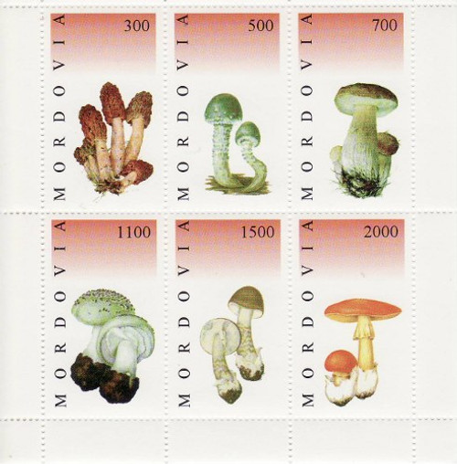 Mushrooms on Stamps - 6 Stamp Mint Sheet MNH - 13G-025