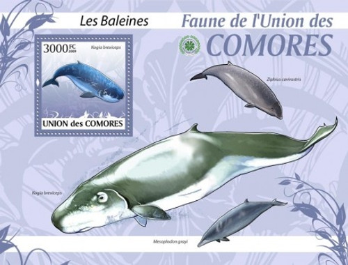 Comoros - Whales - Mint Stamp S/S MNH - 3E-168
