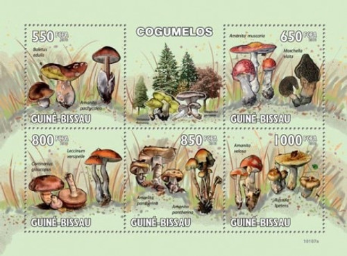 Guinea-Bissau - Mushrooms - 5 Stamp Mint Sheet GB10107a