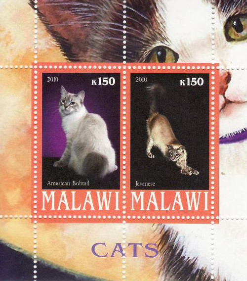 Cats - Mint Sheet of 2 MNH - 13K-056