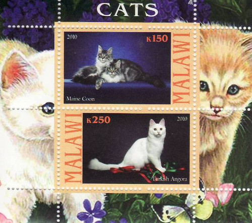 Cats - Mint Sheet of 2 MNH - 13K-058