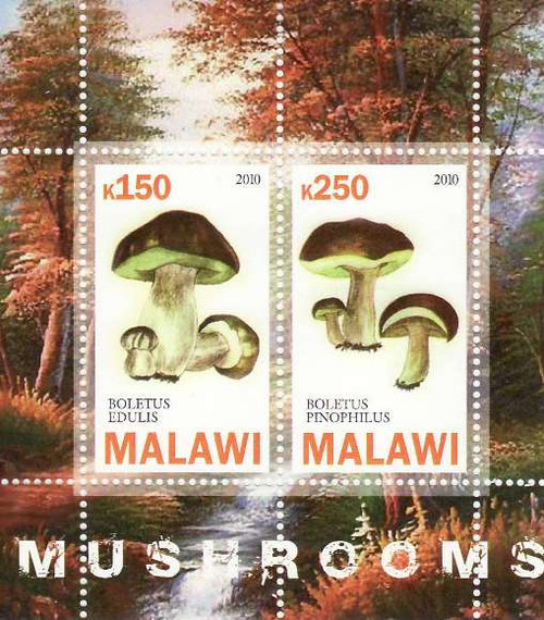 Mushrooms - Mint Sheet of 2 MNH - 13K-068