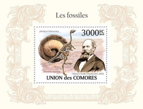 Comoros - Fossils on Stamps - Mint Stamp Souvenir Sheet MNH - 3E-205