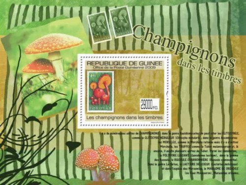 Guinea - Mushrooms On Stamps, Stamp on Stamp - Mint Stamp S/S 7B-1070
