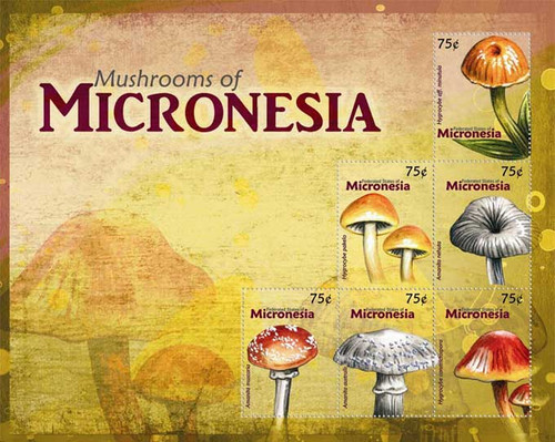 Micronesia - Mushrooms - 6 Stamp Mint Sheet MIC1004H