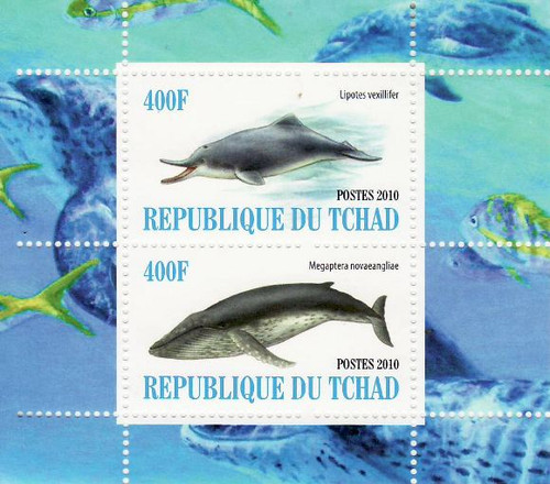 Dolphins & Whales - Mint Sheet of 2 MNH - 3B-120