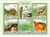 Comoros - Centipedes - 5 Stamp Mint Sheet MNH 3E-252