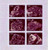 Minerals On Stamps 1998 - 6 Stamp Mint Sheet - 20B-036