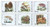 Mushrooms on Stamps - 6 Stamp Mint Sheet - 2A-018