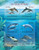 Mozambique - Endangered Dolphins - 6 Stamp Sheet - 13A-960