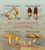 Burundi - Mushrooms - 4 Stamp Sheet - 2J-424