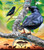 Togo - Indigo Birds - Souvenir Sheet - 20H-544
