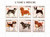 St Thomas & Principe - Dogs On Stamps ST3221-22