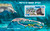 Maldives  2013 Protected Marine Species Souvenir Sheet 13E-043
