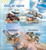 Mozambique - 2013 - Birds of Prey Mint 4 Stamp Sheet 13A-1268