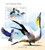 Togo - 2013 Brown Booby Seabird  - Stamp Souvenir Sheet - 20H-740