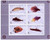 Fish On Stamps MCF01