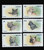 Lesotho 1998 Short Hair Domestic Cats Mint 6 Stamp Set 12E-016