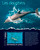 Guinea 2014 Dolphin Facts Mammals of the Sea Stamp Souvenir Sheet7B-2340
