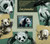 Central Africa - 2014 Pandas on Stamps - Stamp Souvenir Sheet - 3H-656