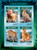 Mozambique 2014 African Lions and Leopards MNH 4 Stamp Sheet 13A-1517