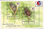 Papua New Guinea - 1994 Tree Kangaroos - 2 Stamp Sheet - 16E-005