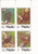 Palau - 1988 Endangered Birds - Block of 4 Stamps - Scott #207a