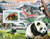 St Thomas - 2016 Asian Pandas - Stamp Souvenir Sheet - ST16312b St Thomas - 2016 Asian Pandas - Stamp Souvenir Sheet - ST16312b